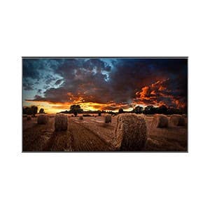 Samsung 65" Professional Display - UHD